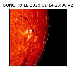 gong - 2026-01-14T23:00:42