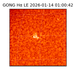 gong - 2026-01-14T01:00:42