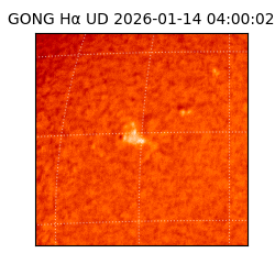 gong - 2026-01-14T04:00:02