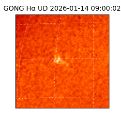 gong - 2026-01-14T09:00:02