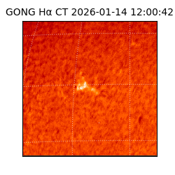 gong - 2026-01-14T12:00:42