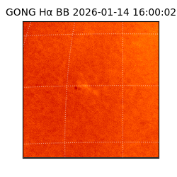 gong - 2026-01-14T16:00:02