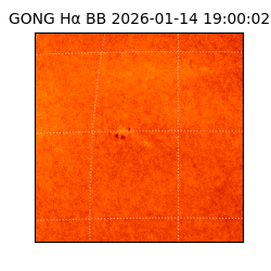 gong - 2026-01-14T19:00:02