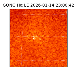 gong - 2026-01-14T23:00:42