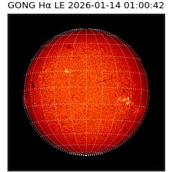 gong - 2026-01-14T01:00:42