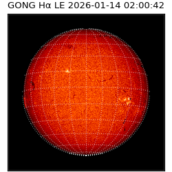 gong - 2026-01-14T02:00:42