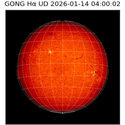 gong - 2026-01-14T04:00:02