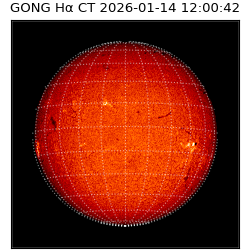 gong - 2026-01-14T12:00:42