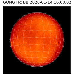 gong - 2026-01-14T16:00:02