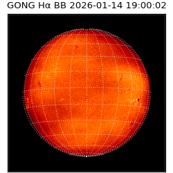 gong - 2026-01-14T19:00:02