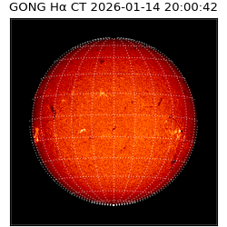 gong - 2026-01-14T20:00:42