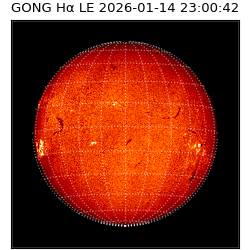 gong - 2026-01-14T23:00:42