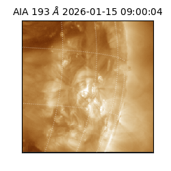saia - 2026-01-15T09:00:04.835000