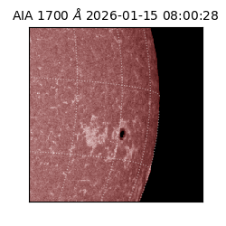 saia - 2026-01-15T08:00:28.722000