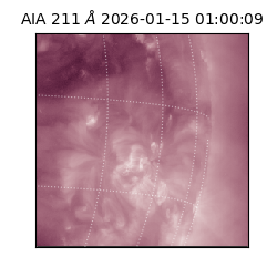 saia - 2026-01-15T01:00:09.626000