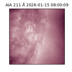 saia - 2026-01-15T08:00:09.630000
