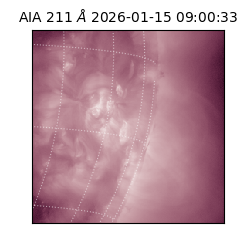 saia - 2026-01-15T09:00:33.626000