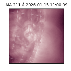 saia - 2026-01-15T11:00:09.626000