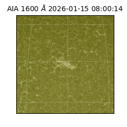 saia - 2026-01-15T08:00:14.126000