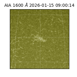 saia - 2026-01-15T09:00:14.119000