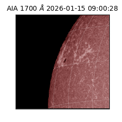saia - 2026-01-15T09:00:28.718000