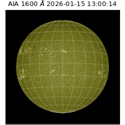 saia - 2026-01-15T13:00:14.126000