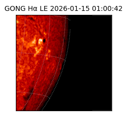 gong - 2026-01-15T01:00:42