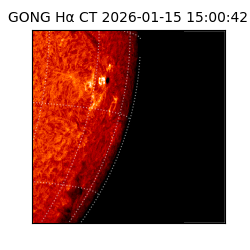 gong - 2026-01-15T15:00:42