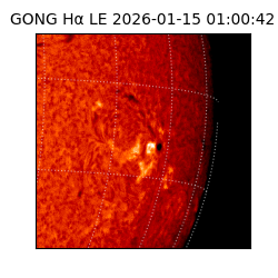 gong - 2026-01-15T01:00:42