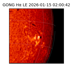 gong - 2026-01-15T02:00:42