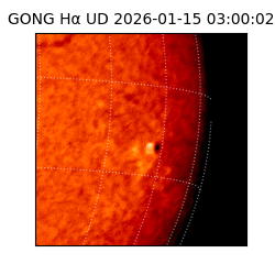 gong - 2026-01-15T03:00:02