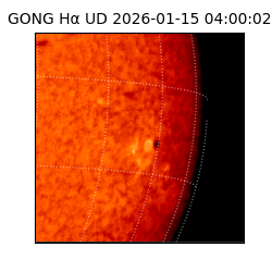 gong - 2026-01-15T04:00:02