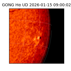 gong - 2026-01-15T09:00:02