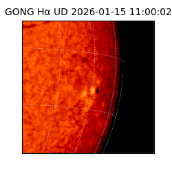 gong - 2026-01-15T11:00:02