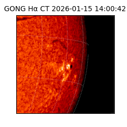 gong - 2026-01-15T14:00:42