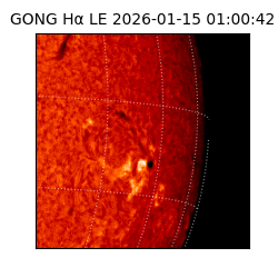 gong - 2026-01-15T01:00:42