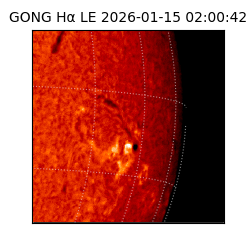 gong - 2026-01-15T02:00:42