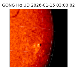 gong - 2026-01-15T03:00:02