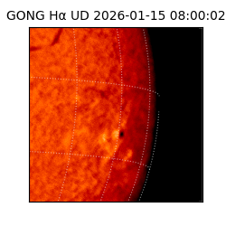 gong - 2026-01-15T08:00:02
