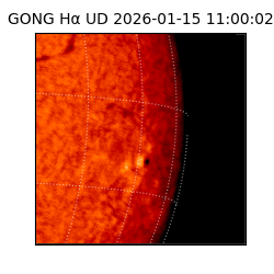 gong - 2026-01-15T11:00:02