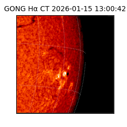 gong - 2026-01-15T13:00:42
