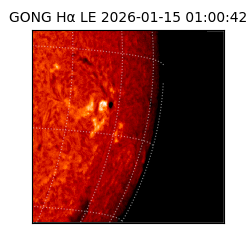 gong - 2026-01-15T01:00:42