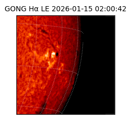 gong - 2026-01-15T02:00:42