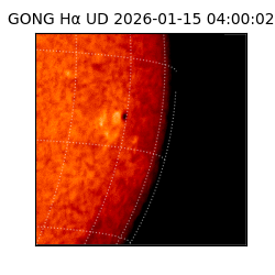 gong - 2026-01-15T04:00:02