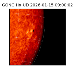 gong - 2026-01-15T09:00:02