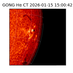 gong - 2026-01-15T15:00:42