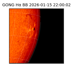 gong - 2026-01-15T22:00:02