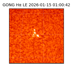 gong - 2026-01-15T01:00:42
