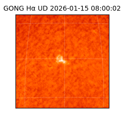 gong - 2026-01-15T08:00:02