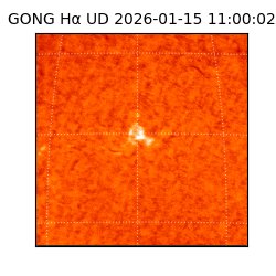 gong - 2026-01-15T11:00:02